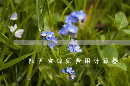 陕西省律师费用计算器 陕西省律师费用计算器