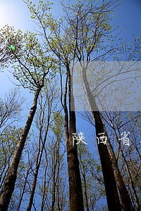 陕西省找房地产律师 陕西省找房地产律师