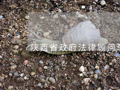 陕西省政府法律顾问李万强