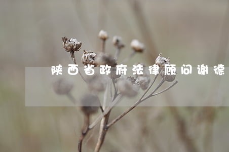 陕西省政府法律顾问谢德成