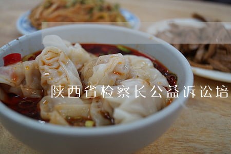 陕西省检察长公益诉讼培训 陕西省检察长公益诉讼培训