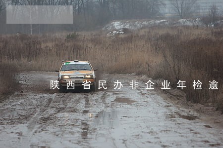 陕西省民办非企业年检逾期 陕西省民办非企业年检逾期
