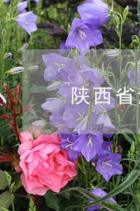 陕西省法律顾问律师所 陕西省法律顾问律师所