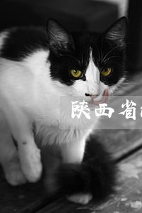 陕西省法院书记员考试笔试内容 陕西省法院书记员考试笔试内容