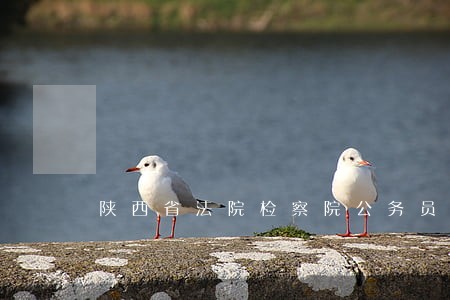 陕西省法院检察院公务员公示 陕西省法院检察院公务员公示