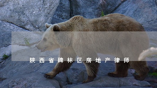 陕西省碑林区房地产律师 陕西省碑林区房地产律师