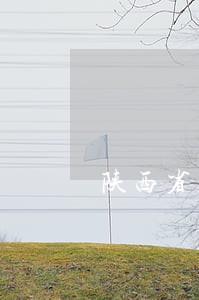 陕西省离婚律师咨询 陕西省离婚律师咨询