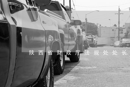 陕西省财政厅法规处处长 陕西省财政厅法规处处长
