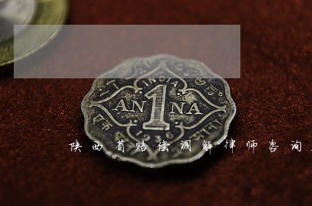 陕西省赔偿调解律师咨询服务 陕西省赔偿调解律师咨询服务