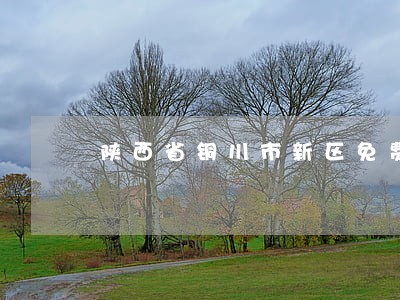 陕西省铜川市新区免费律师咨询 陕西省铜川市新区免费律师咨询