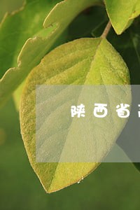 陕西省高级人民法院吴鹏