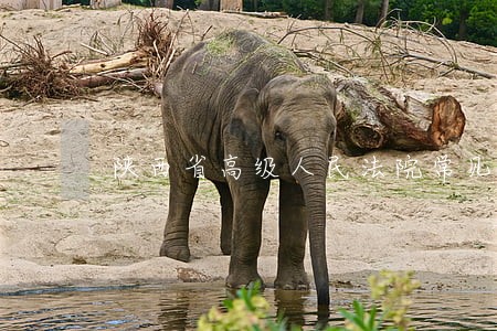 陕西省高级人民法院常见罪名 陕西省高级人民法院常见罪名