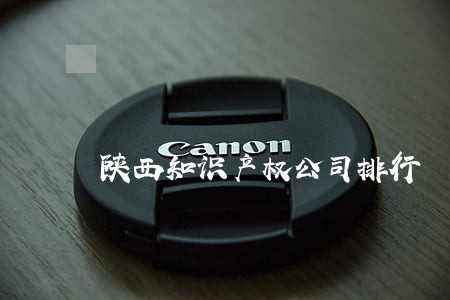 陕西知识产权公司排行 陕西知识产权公司排行