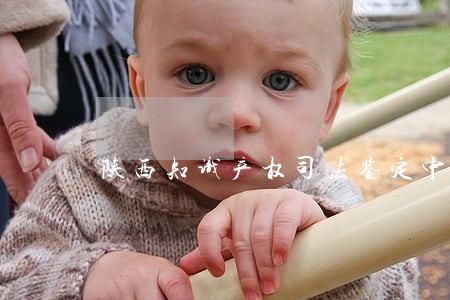 陕西知识产权司法鉴定中心 陕西知识产权司法鉴定中心