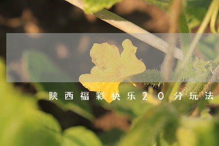 陕西福彩快乐20分玩法规则 陕西福彩快乐20分玩法规则
