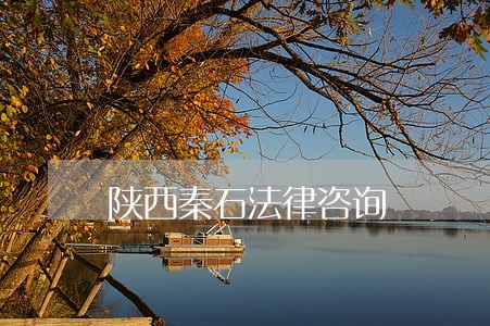 陕西秦石法律咨询