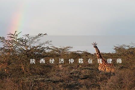 陕西经济仲裁在线律师 陕西经济仲裁在线律师