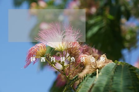 陕西网贷负债逾期 陕西网贷负债逾期