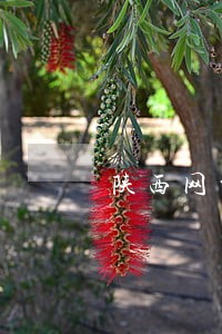 陕西网贷逾期退息退保方法有哪些 陕西网贷逾期退息退保方法有哪些