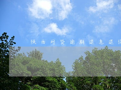 陕西网贷逾期退息退保服务费用 陕西网贷逾期退息退保服务费用