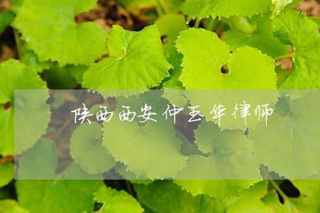 陕西西安仲玉华律师 陕西西安仲玉华律师