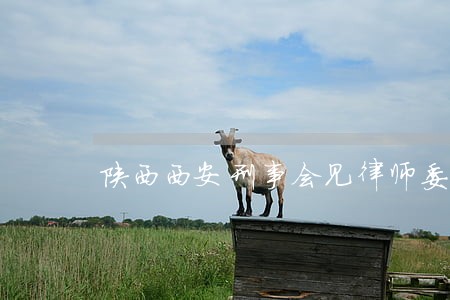 陕西西安刑事会见律师委托收费 陕西西安刑事会见律师委托收费