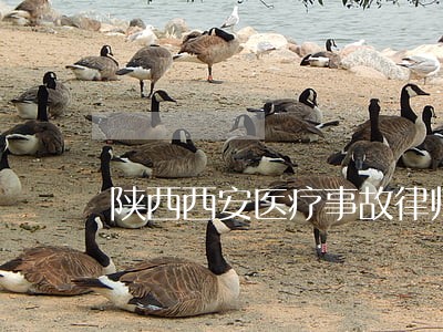 陕西西安医疗事故律师费咨询 陕西西安医疗事故律师费咨询
