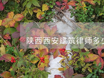 陕西西安建筑律师多少钱 陕西西安建筑律师多少钱