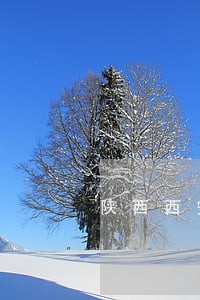 陕西西安杨昊伟律师在线法律咨询 陕西西安杨昊伟律师在线法律咨询