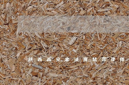 陕西西安非法拘禁罪律师推荐