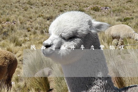 陕西违法停车交警标准 陕西违法停车交警标准