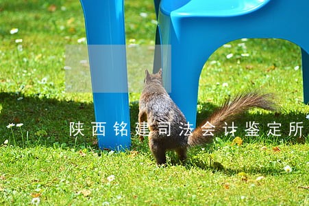 陕西铭建司法会计鉴定所咋样