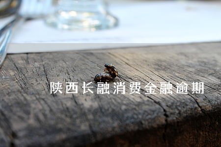 陕西长融消费金融逾期 陕西长融消费金融逾期