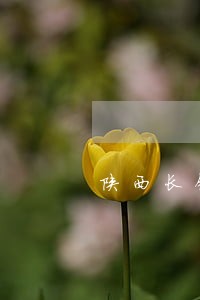陕西长银消费金融逾期一个月 陕西长银消费金融逾期一个月