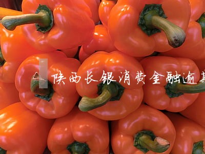 陕西长银消费金融逾期后果 陕西长银消费金融逾期后果