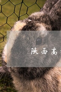 陕西高新区房产拆迁律师 陕西高新区房产拆迁律师