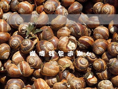 陛博钱包逾期6 陛博钱包逾期6