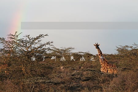 除了刑法民法之外