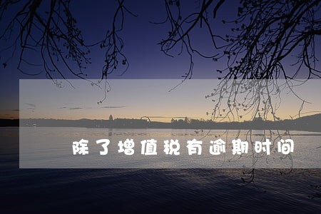 除了增值税有逾期时间 除了增值税有逾期时间