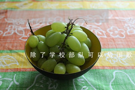 除了学校部队可以放国歌不然违法 除了学校部队可以放国歌不然违法