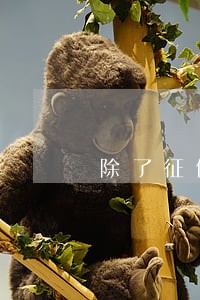 除了征信怎么查询逾期 除了征信怎么查询逾期