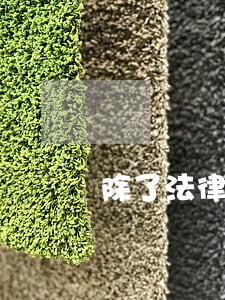 除了法律专业