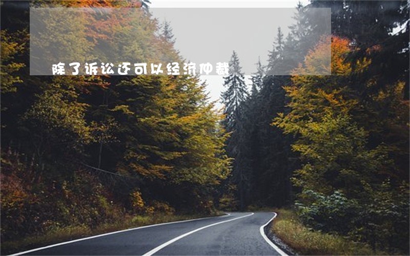 除了诉讼还可以经济仲裁 除了诉讼还可以经济仲裁