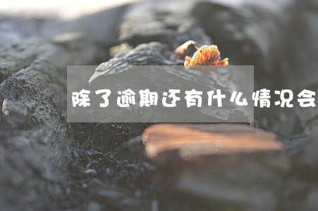 除了逾期还有什么情况会黑户