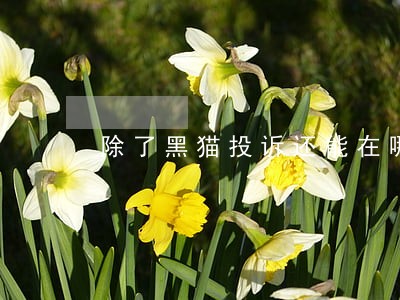 除了黑猫投诉还能在哪里投诉逾期 除了黑猫投诉还能在哪里投诉逾期