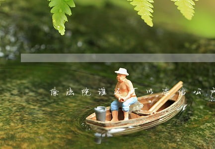 除法院谁还可以冻结公户