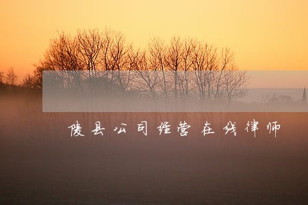 陵县公司经营在线律师 陵县公司经营在线律师