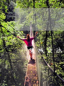 陵城区法院张富中 陵城区法院张富中