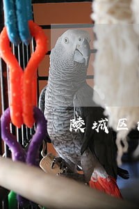 陵城区法院流拍土地 陵城区法院流拍土地