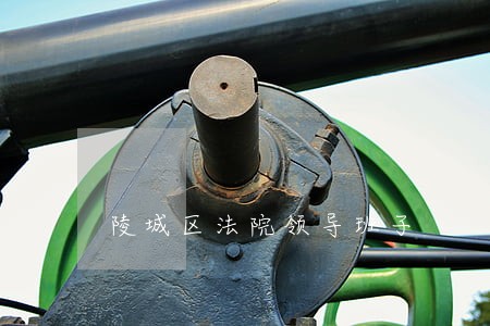 陵城区法院领导班子 陵城区法院领导班子
